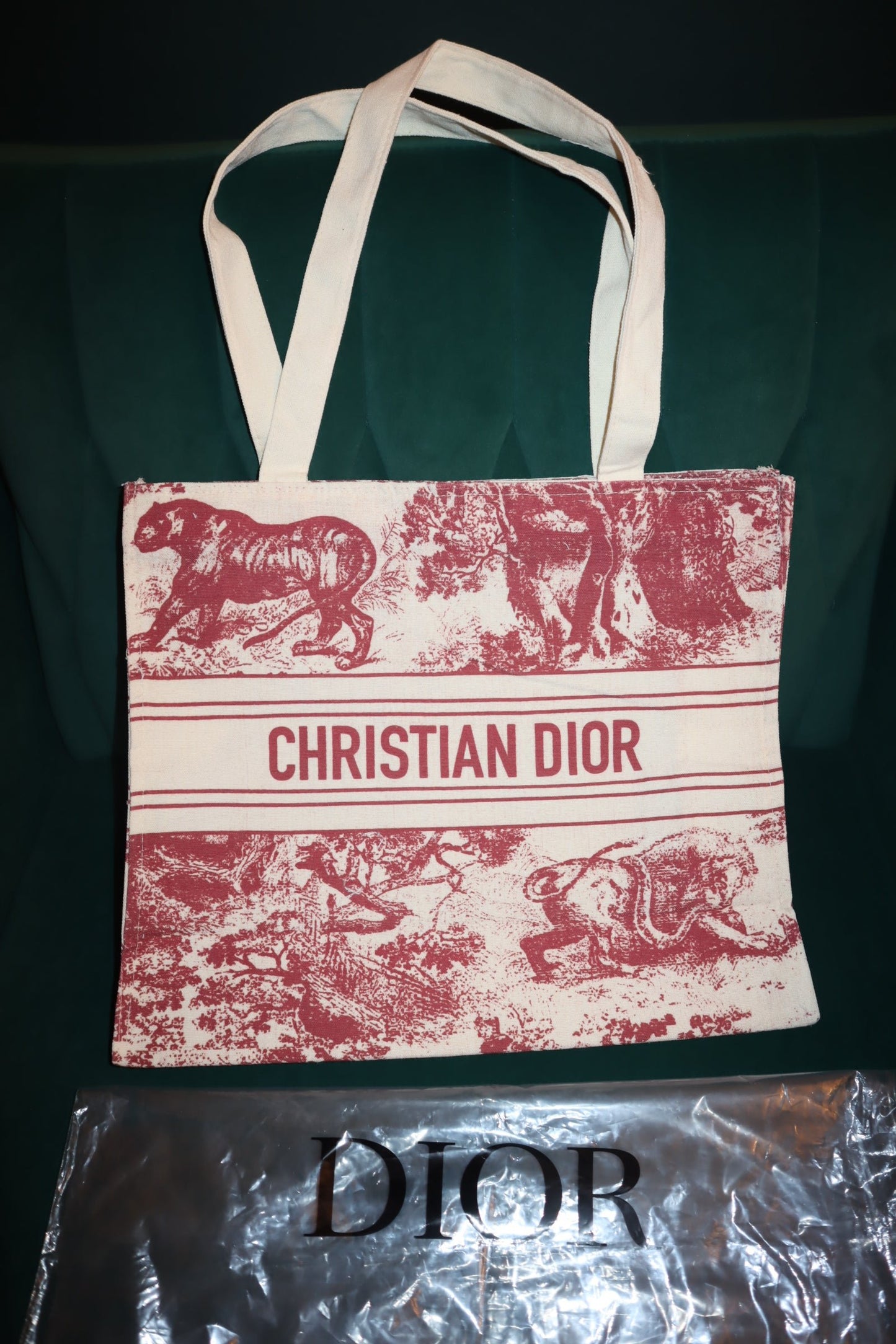 New Dior Novelty Limited-edition Item TOTE Bag