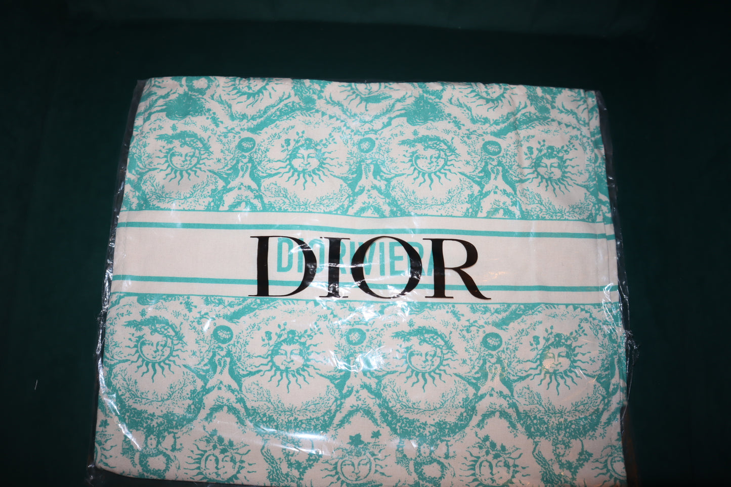 New Dior Novelty Limited-edition Item TOTE Bag